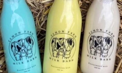 Temon Farm Milk Barn